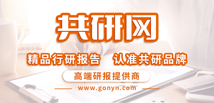 中国DCPD加氢石油树脂行业调查与投资策略报告