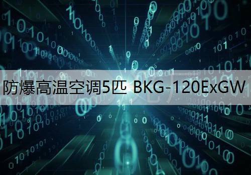 防爆高温空调5匹 BKG-120ExGW