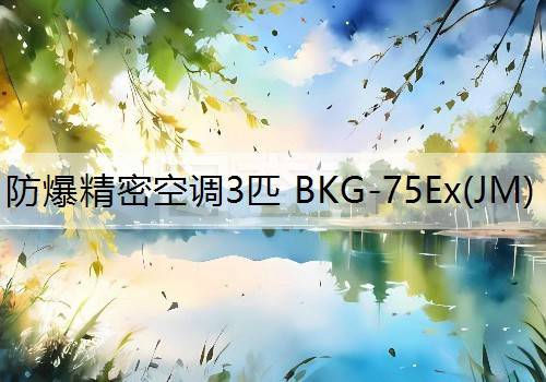 防爆精密空调3匹 BKG-75Ex(JM)