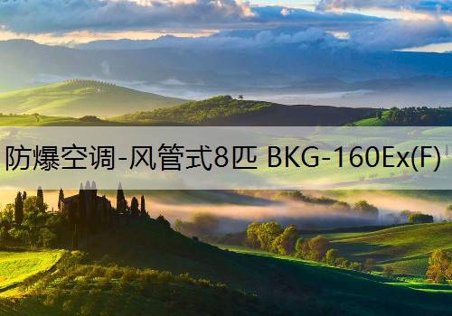 防爆空调-风管式8匹 BKG-160Ex(F)