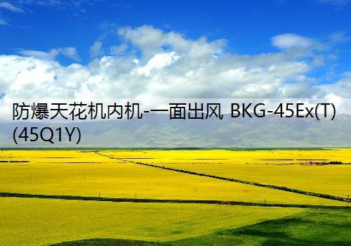 防爆天花机内机-一面出风 BKG-45Ex(T)(45Q1Y)