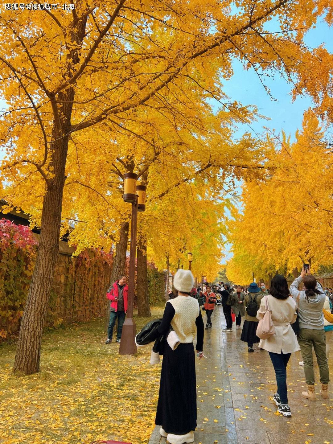 2024最新报团去北京旅游3天大概多少人民币？超级实用