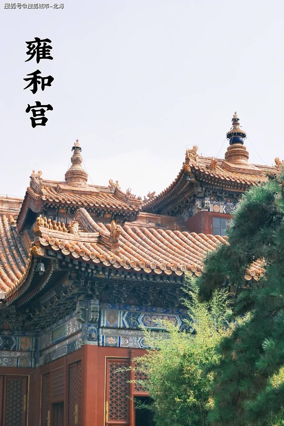2024最新报团去北京旅游六天大概多少人民币？超赞超赞