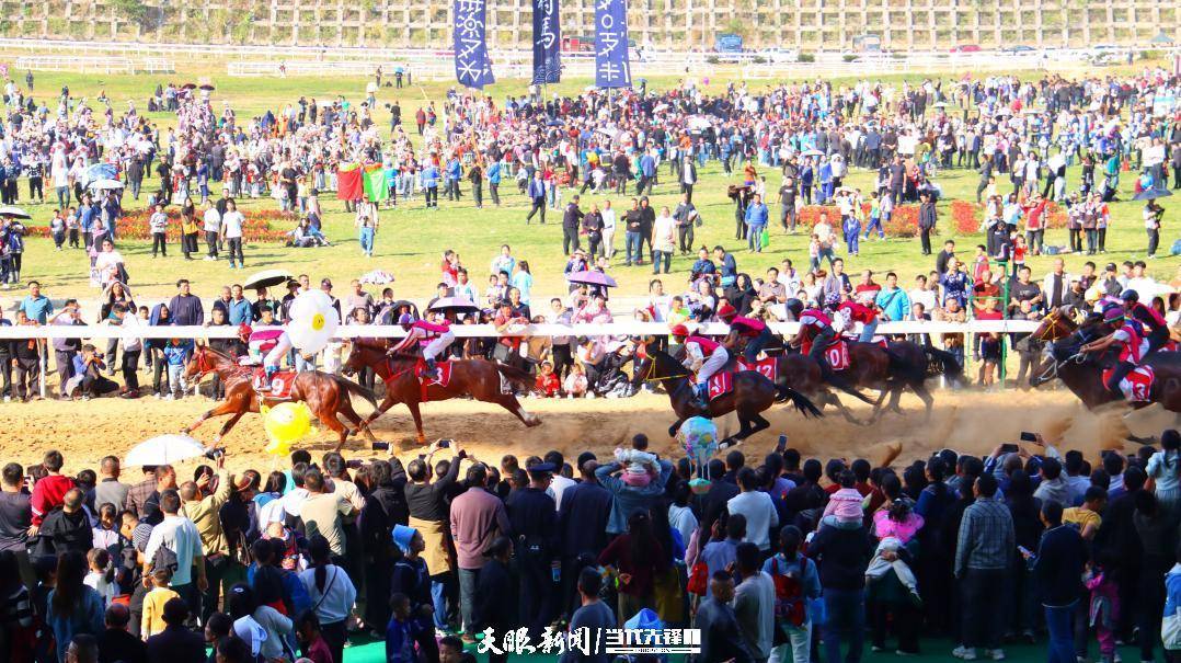 贵州村马：焕发和美乡村新活力