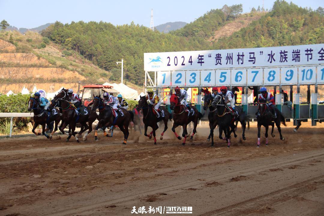 贵州村马：焕发和美乡村新活力