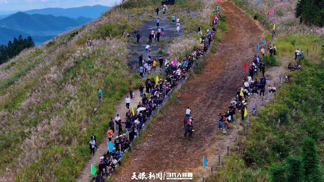 贵州村马：焕发和美乡村新活力