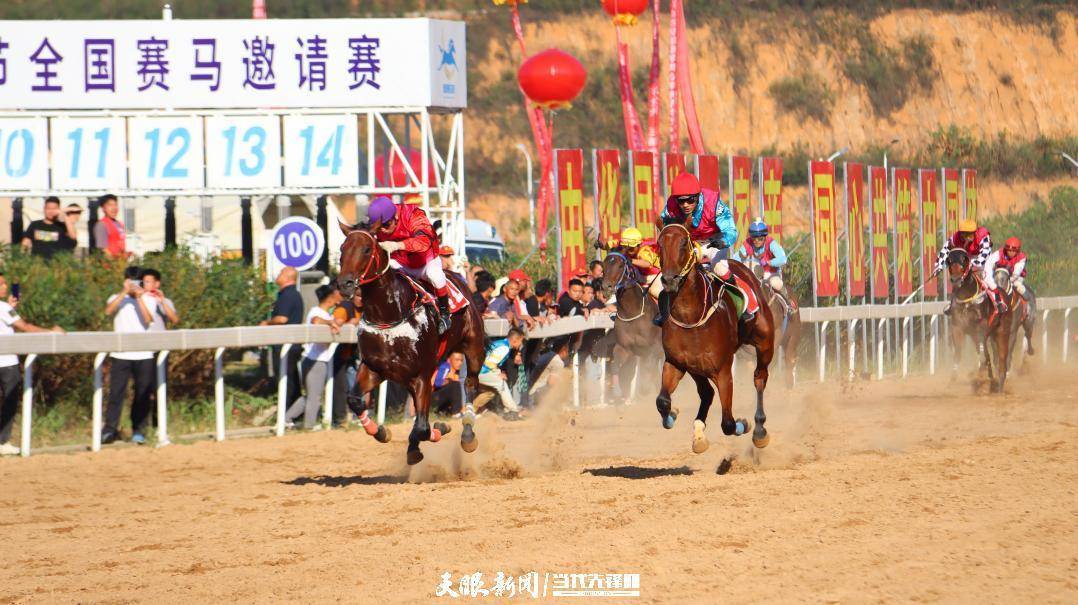 贵州村马：焕发和美乡村新活力