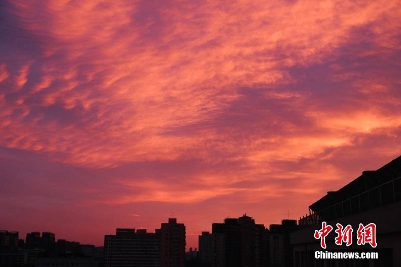 饱和度拉满！北京迎绚丽橘色朝霞妆点冬日清晨