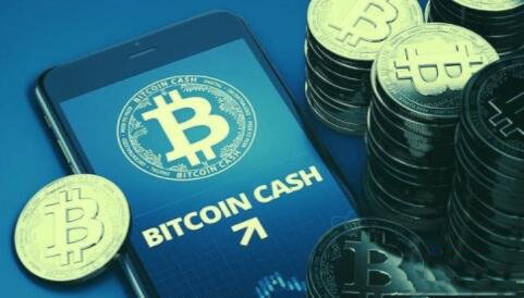 比特现金(比特现金今日行情价格表)
