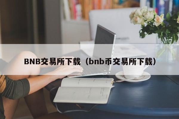 BNB-币安币交易所(币安交易所官网入口网页版)
