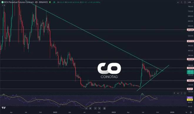 BCH-比特现金(BCH比特现金历史最高价格)
