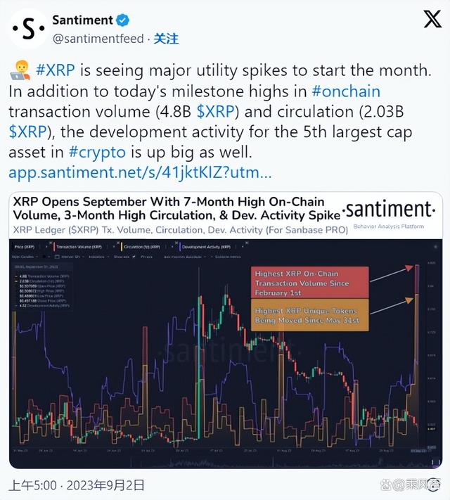 XRP交易(xrp交易所)