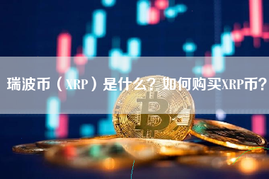 瑞波币交易所(瑞波币最新消息瑞波币官网)