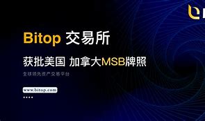 bitop交易所下载(比特币交易平台官网入口)