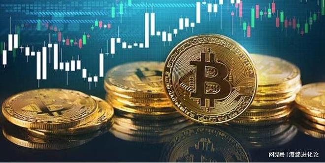 BTC交易所(btc交易所转到比特派要多久)