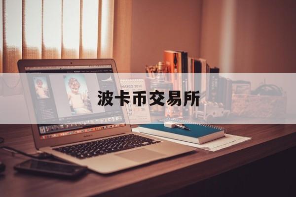 波卡币交易所(波卡币今日价格)