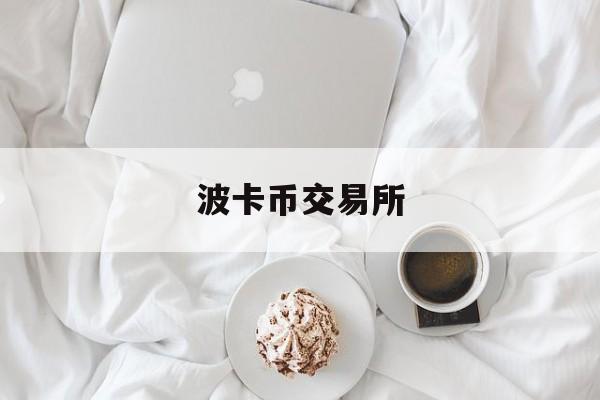 波卡币交易所(波卡币实时行情)